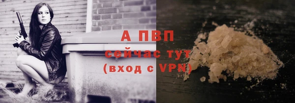 спайс Надым