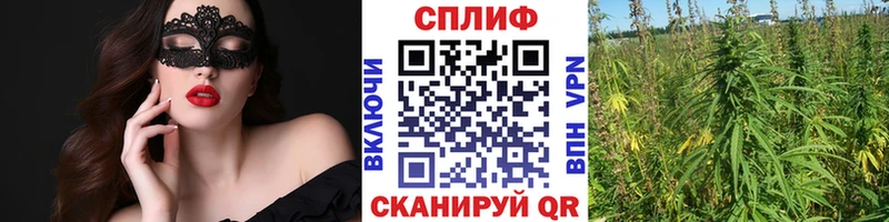 Купить где  Алатырь  Канабис MAZAR 